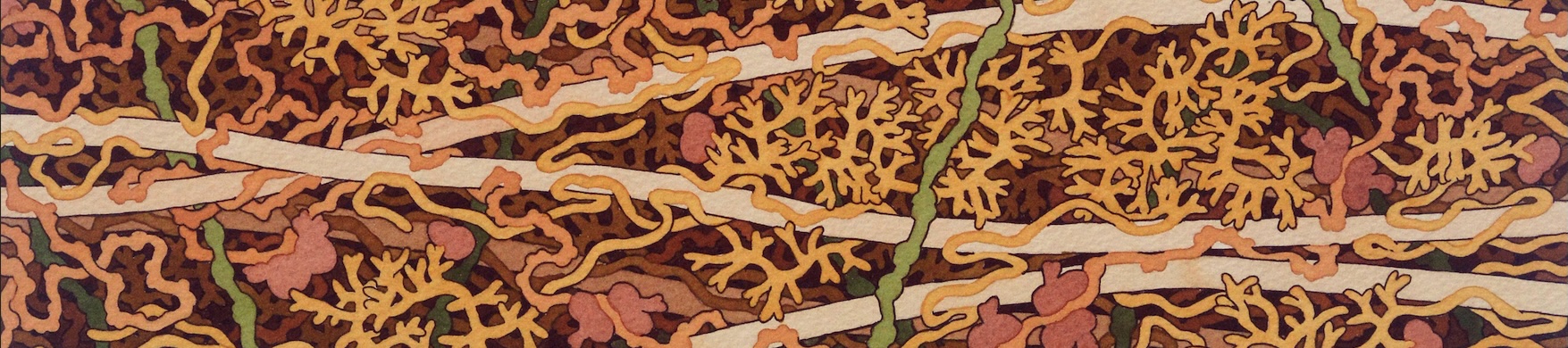 15ème Journées du Réseau Français des Parois - JRFP>